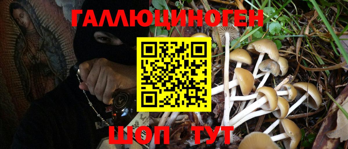 Псилоцибиновые грибы GOLDEN TEACHER Александров