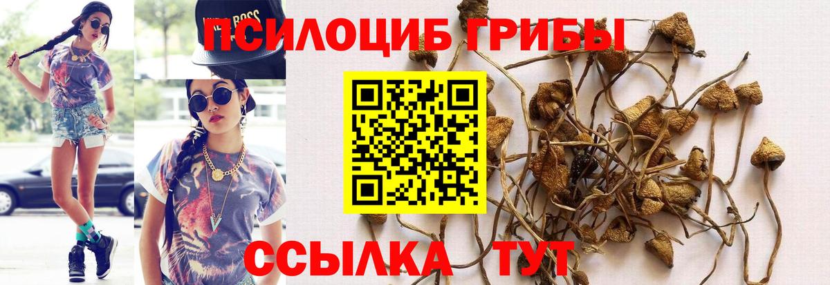 Псилоцибиновые грибы ЛСД  Псилоцибиновые грибы мицелий  Вход с VPN  Александров 
